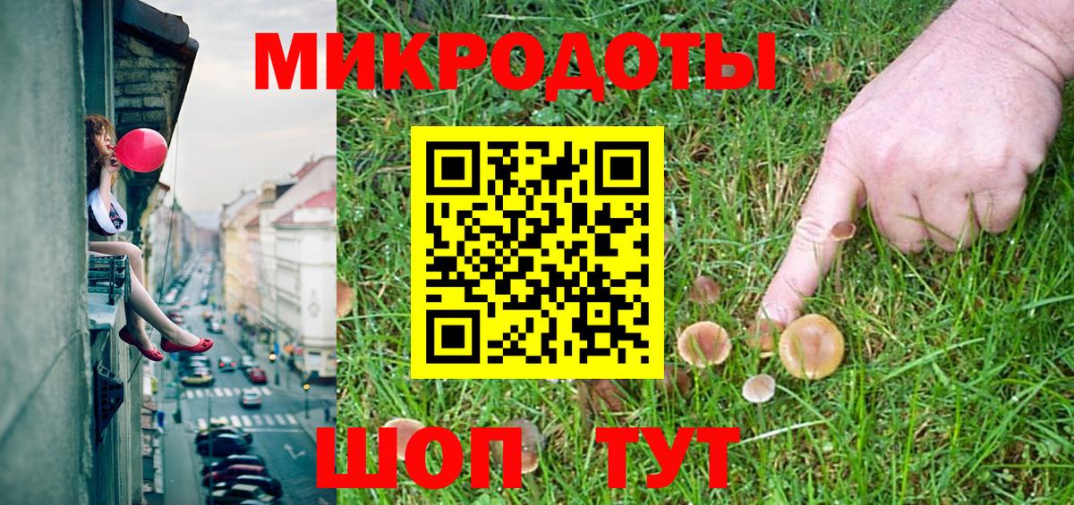 Галлюциногенные грибы Psilocybe Ахтубинск
