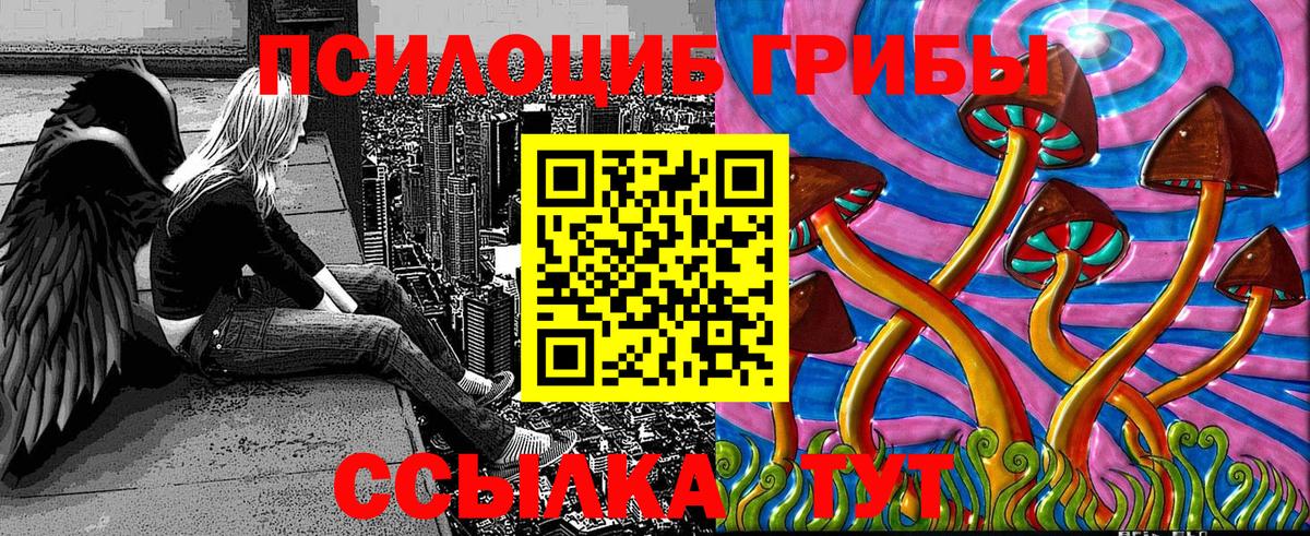 Галлюциногенные грибы GOLDEN TEACHER  Вход с VPN  Ахтубинск 